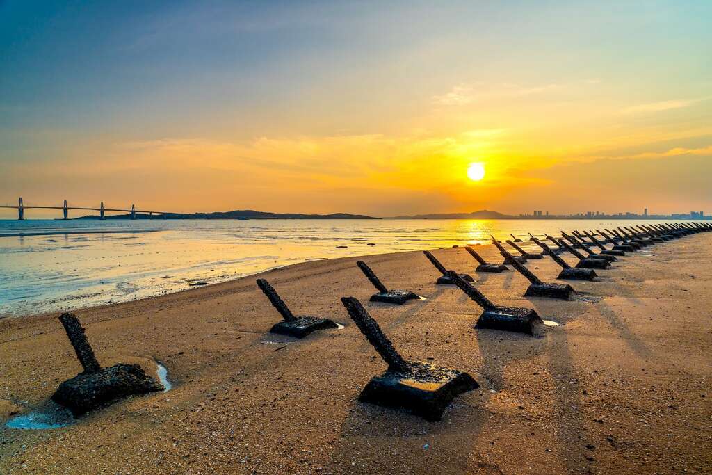 20250124_金門世界和平健康島倡議的芻議