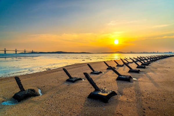 20250124_金門世界和平健康島倡議的芻議